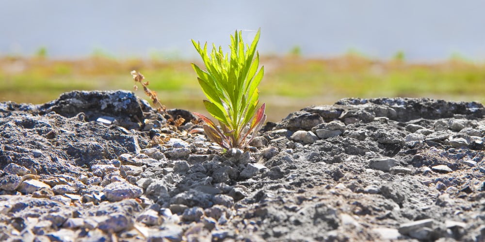 Workshop: Adaptabilidad
